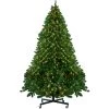 14' Pre-Lit Full Olympia Pine Artificial Christmas Tree - Warm White Lights -Christmas Decoration Store northlight th28353 same20as20th28355 84058.1667572684
