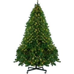 14' Pre-Lit Full Olympia Pine Artificial Christmas Tree - Warm White Lights