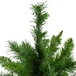 24" Mixed Kateson Fir Medium Artificial Christmas Tree - Unlit 9 24" Mixed Kateson Fir Medium Artificial Christmas Tree - Unlit -Christmas Decoration Store northlight v03996 2 updated 69065.1667488325