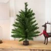 24" Mixed Kateson Fir Medium Artificial Christmas Tree - Unlit -Christmas Decoration Store northlight v03996 updated 09392.1667488324