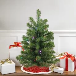 2' Pre-Lit Medium Canadian Pine Artificial Christmas Tree, Multicolor Lights