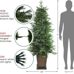 6' Pre-Lit Potted Oregon Noble Fir Slim Artificial Christmas Tree - Clear LED Lights -Christmas Decoration Store northlight v15850 3 18491.1667657599