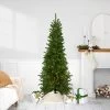 6.5' Pre-Lit Canadian Pine Artificial Pencil Christmas Tree - Clear Lights