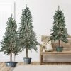 Set Of 3 Pre-Lit Flocked Alpine Artificial Christmas Trees 5' - Multi Lights -Christmas Decoration Store northlight v27430updated 87873.1667533893