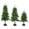 Set Of 3 Alpine Artificial Christmas Trees 4', 5' And 6' - Unlit -Christmas Decoration Store northlight v27452 updarte 50559.1667533899