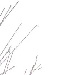 6' LED Lighted White Birch Christmas Twig Tree - Pure White Lights 16 6' LED Lighted White Birch Christmas Twig Tree - Pure White Lights -Christmas Decoration Store northlight xt92218 4 19620.1667491239