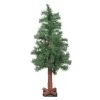 3' Slim Traditional Mixed Woodland Alpine Artificial Christmas Tree - Unlit -Christmas Decoration Store northlight ynt713 gr 2018 51576.1667659854