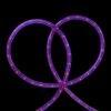 18' Pre Lit Purple Incandescent Outdoor Christmas Rope Lights -Christmas Decoration Store northlight ys27514 19668.1667574534