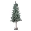 4' Lightly Flocked And Glittered Woodland Alpine Artificial Christmas Tree - Unlit -Christmas Decoration Store northlight yt8448 fk 71113.1677045446