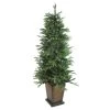 6' Pre-Lit Potted Oregon Noble Fir Slim Artificial Christmas Tree - Clear LED Lights 2 6' Pre-Lit Potted Oregon Noble Fir Slim Artificial Christmas Tree - Clear LED Lights -Christmas Decoration Store northlight ytp006 gr 1 47054.1667657598