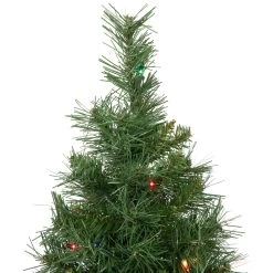 2' Pre-Lit Medium Royal Pine Artificial Christmas Tree - Multicolor Lights -Christmas Decoration Store northlight z00022 2 94858.1669414976