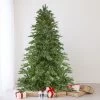 7.5' Pre-Lit Medium Mont Blanc Fir Artificial Christmas Tree - Dual Color LED Lights
