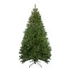 7.5' Pre-lit Medium Deer River Spruce LED Artificial Christmas Tree - Warm White Lights 1 7.5' Pre-lit Medium Deer River Spruce LED Artificial Christmas Tree - Warm White Lights -Christmas Decoration Store northlight z16062 16154.1667570070