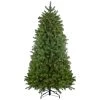 6.5' Pre-Lit Palisades Fir Artificial Christmas Tree - Clear Lights -Christmas Decoration Store northlight z28591 same20as20z28592 18527.1667572471