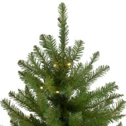4' Pre-Lit Full Northern Pine Artificial Christmas Tree - Warm Clear LED Lights 8 4' Pre-Lit Full Northern Pine Artificial Christmas Tree - Warm Clear LED Lights -Christmas Decoration Store northlight z35727 3 updated 98743.1667578333