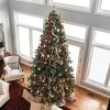 12' Pre-Lit Northern Pine Full Artificial Christmas Tree, Clear Lights -Christmas Decoration Store northlight z84461 1updated 1 27821.1667663135