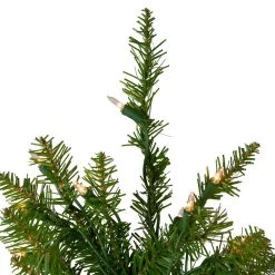 4' Pre-Lit Full Northern Pine Artificial Christmas Tree, Clear Lights -Christmas Decoration Store northlight z84470 3 20759.1685643412