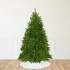 10' Full Northern Pine Artificial Christmas Tree - Unlit -Christmas Decoration Store northlight z84652 same as z84655 1 72645.1667533615