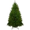 6.5' Pre-Lit Northern Pine Full Artificial Christmas Tree - Multi-Color Lights