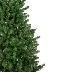 15' Pre-Lit Genoa Fraser Fir Slim Artificial Christmas Tree, Clear Lights -Christmas Decoration Store northlight z94044 3 19250.1667530991