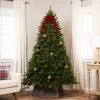 7.5' Pre-Lit Full Northern Pine Artificial Christmas Tree, Clear Lights -Christmas Decoration Store o8uj4wk959srjroy6e7n12fnasn6teik 55580.1686688205
