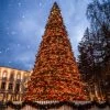 26’ Pre-Lit Giant Olympia Pine CommercialArtificial Tower Christmas Tree - Warm White LED Lights -Christmas Decoration Store olympiaframetree 94792.1680153258