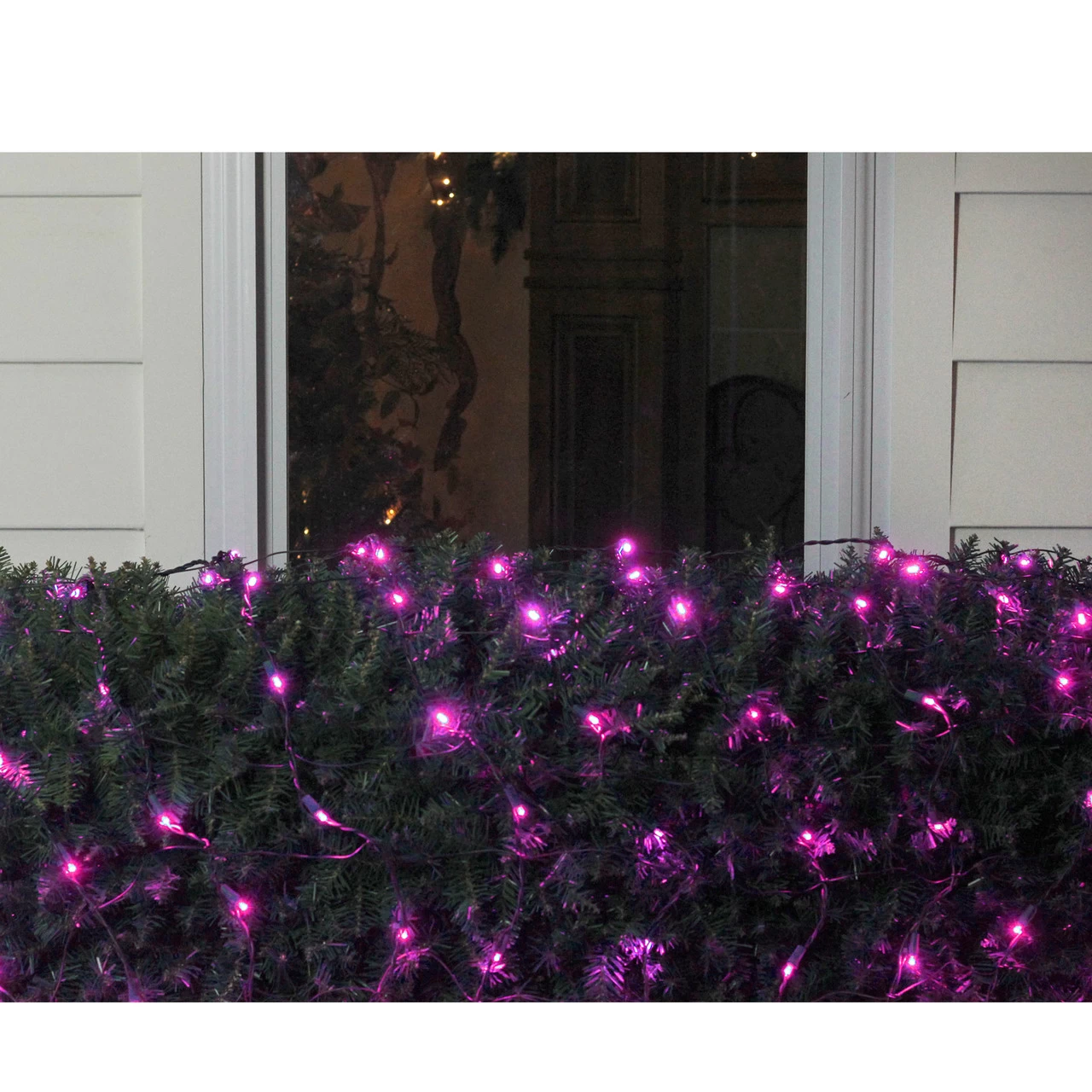 4' X 6' Raspberry Pink LED Wide Angle Net Style Christmas Lights - Green Wire 4 4' X 6' Raspberry Pink LED Wide Angle Net Style Christmas Lights - Green Wire - Image 2