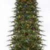 7.5' Pre-Lit Slim Palisade Artificial Christmas Tree - Multi LED Lights