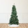 9' Pre-Lit Green Slim Pine Artificial Christmas Tree - Multicolor Lights -Christmas Decoration Store vxrulmvwbdt1igkyhwstzoexu3idvi3e 21924.1667530750
