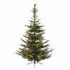 9' Pre-Lit LED Everlands Nobilis Fir Artificial Christmas Tree - Warm Clear Lights -Christmas Decoration Store wntqmmjmhffzxs5ny4tkswxnugmcvd13 54280.1667536542